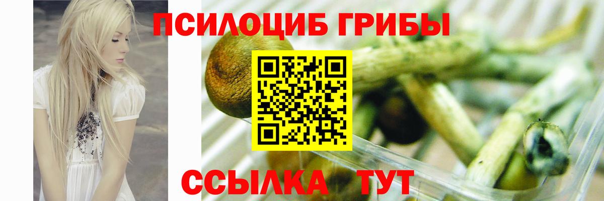 Псилоцибиновые грибы прущие грибы  Вход с VPN  Учалы 